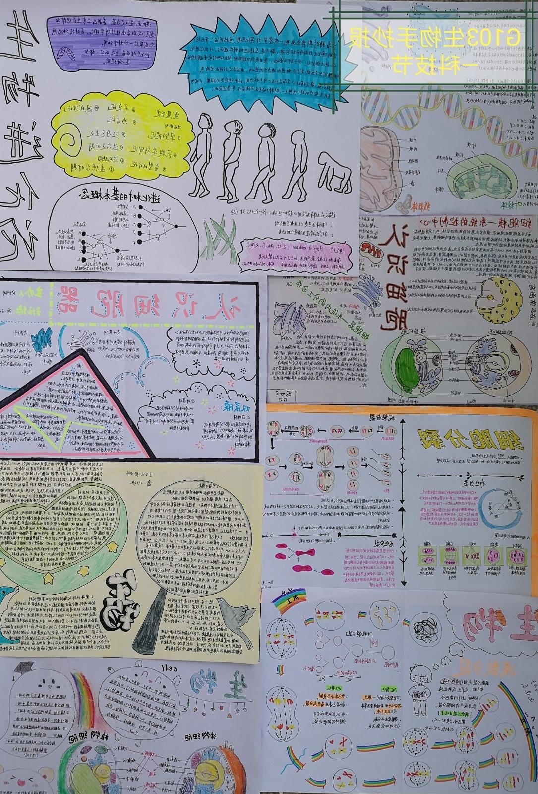 2019年春季高一生物学科活动结果